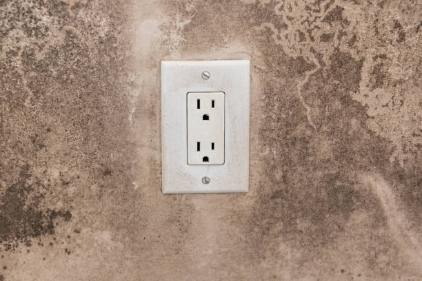 Mold Remediation for Rental Properties in Walkertown, NC